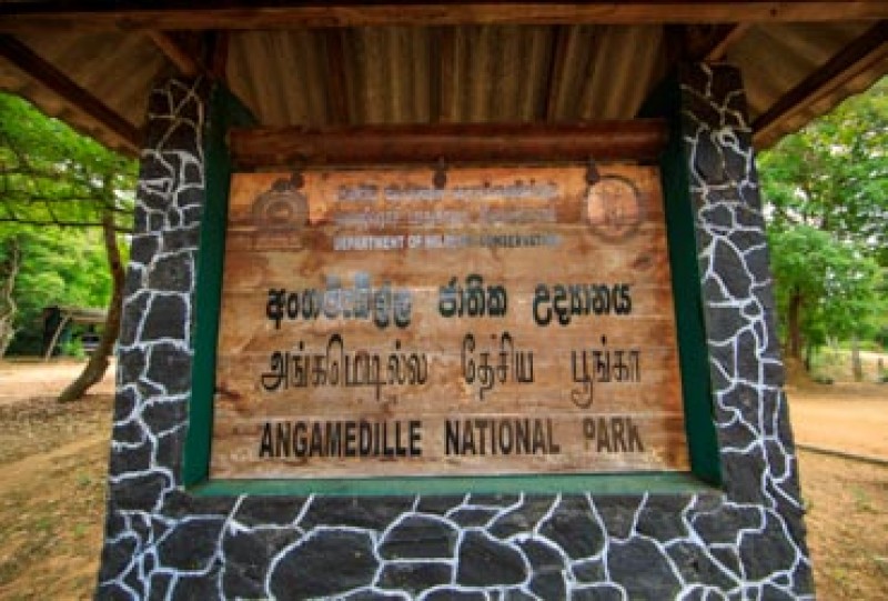 Angammedilla National Park | Gateway to East